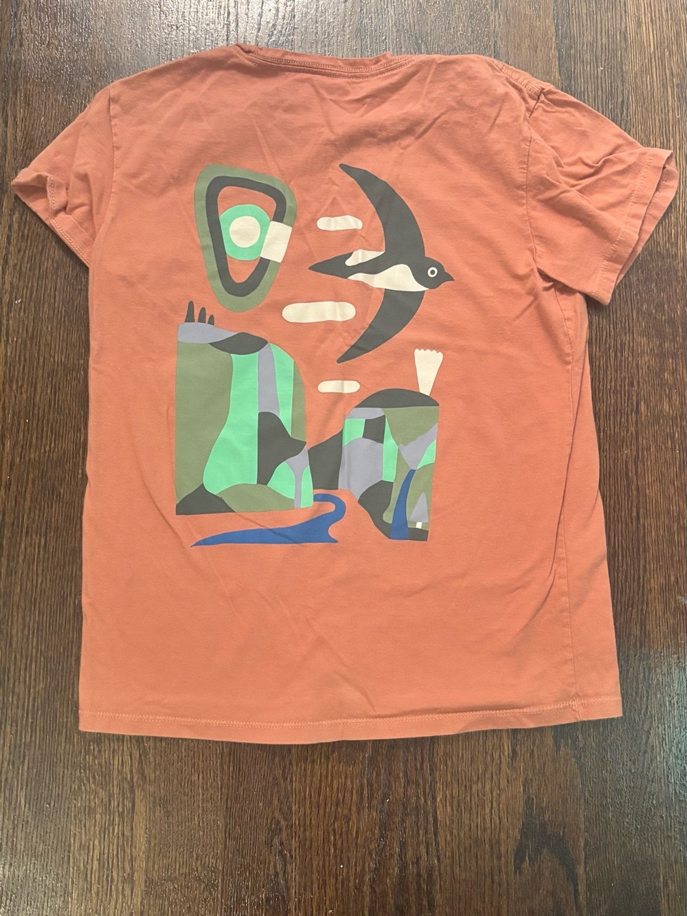 Patagonia XS graphic tee